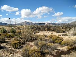 Convertible Top Maintenance with 303 Aerospace-chihuahuan-desert-2.jpg