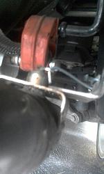 Cats removed - what to do next?-1482559098869.jpg