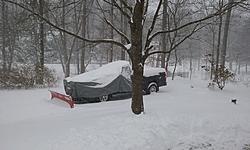 Little bored after the snow storm-20170209_104415.jpg