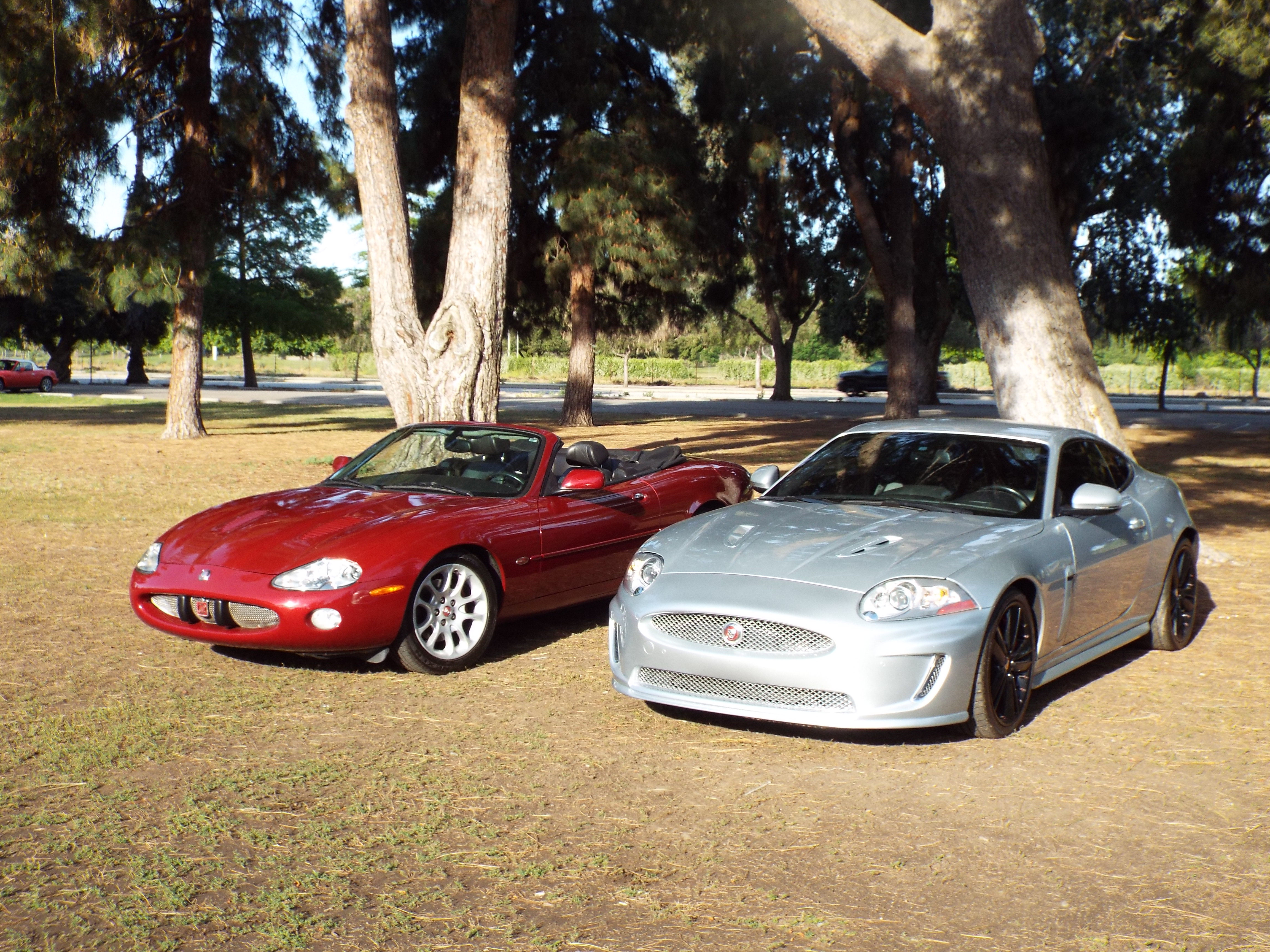 How many show their cars and - Jaguar Forums - Jaguar Enthusiasts Forum