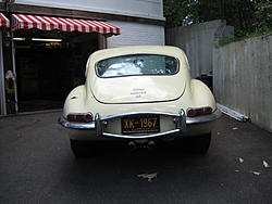 Personalized License Plates-jag-wagging.jpg