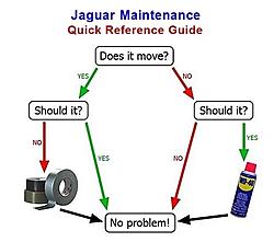 &quot;Creeking&quot; in uneven surfaces-jaguar-maintenance-q-r-guide.jpg