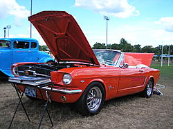 How many show their cars and-strut-my-stuff.jpg