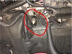 Coolant smell ??-fluid2.jpg