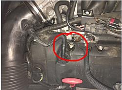 Coolant smell ??-fluid1.jpg
