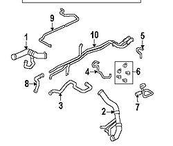 Coolant smell ??-hoses.jpg