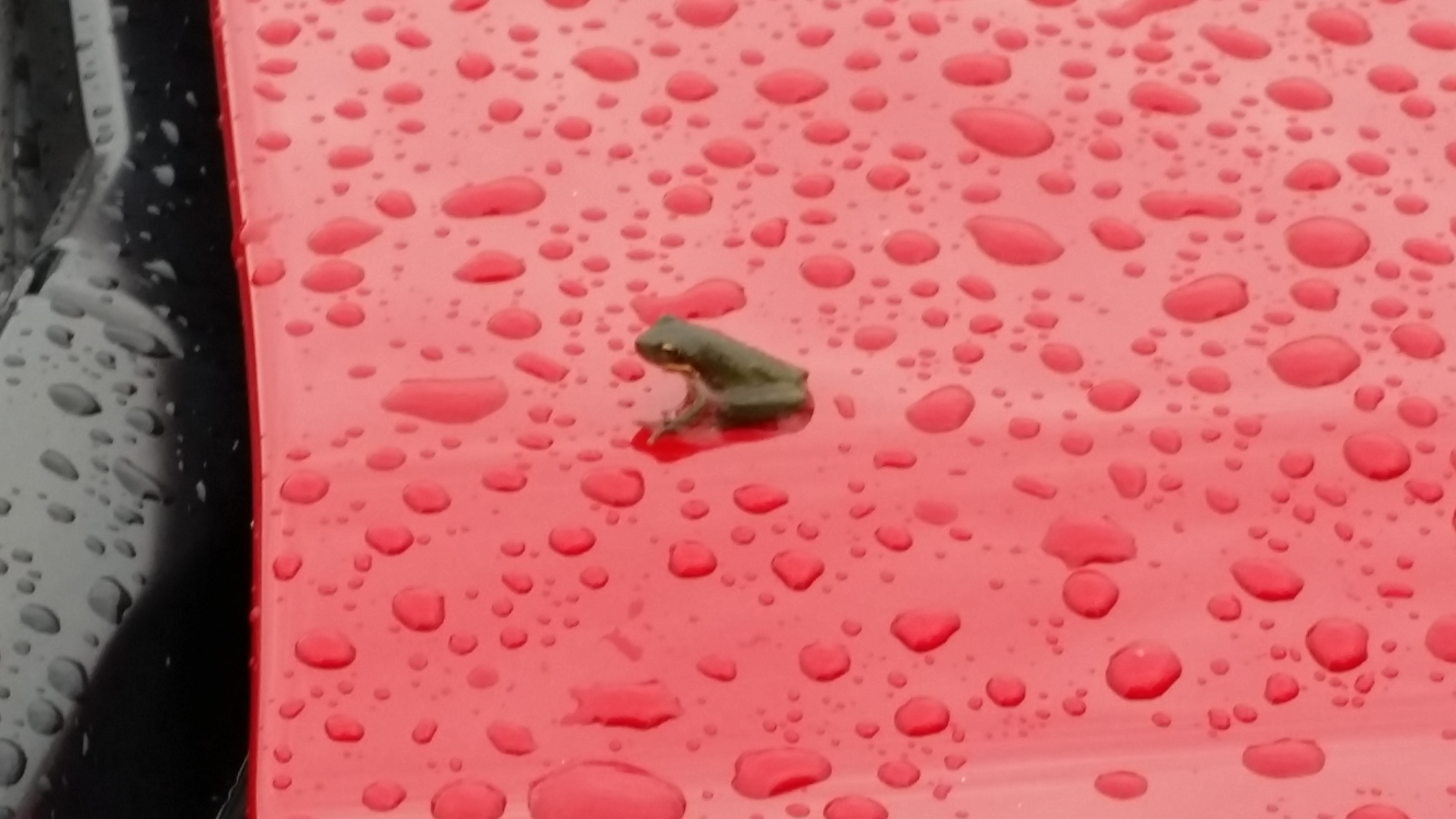Name: 20140805_075306.jpg
Views: 192
Size: 2.89 MB