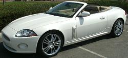 Photos of Mina Exhaust/Chrome accents/Windscreen-fog-lights-accent-windscreen.jpg