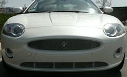 Photos of Mina Exhaust/Chrome accents/Windscreen-gedc0457.jpg