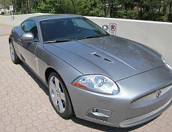 Tint or No Tint?-img_0340cr.jpg