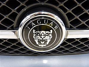 Mina Gallery front grill options-used-2007-jaguar-xk-2drcoupe-8730-13382298-67-640.jpg
