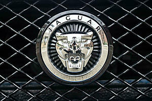 Mina Gallery front grill options-jaguar-xkrs-review-growler-badge-carwitter.jpg