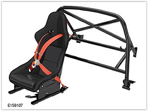 Seat harnesses-screen-shot-02-25-18-10.23-am.jpg
