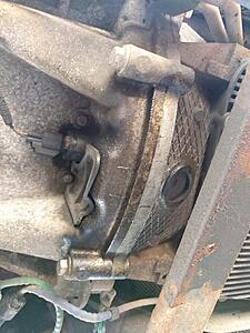 Minor oil leak near Crankshaft Position Sensor-losz6lp.jpg