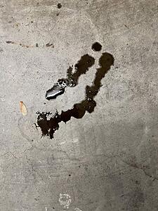Massive oil leak on engine start, mostly stops when not running-img_7751.jpg