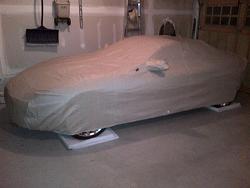 Car Cover-vaughan-20121114-00506.jpg