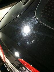 Scratched Cat-cat-scratched-tail386700_466702433364829_1188405529_n.jpg