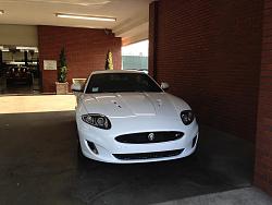 Finally got my first Jaguar-img_0455.jpg