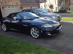 Show us your best Jaguar photo-november-2013-084.jpg