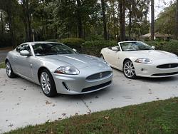 New Car Bug-jags-016.jpg
