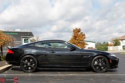 opinions please-898.jpg