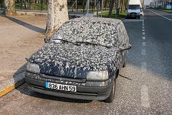 Is it just me?-bird-poop-car.jpg