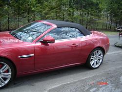 Jaguar , we have landed-dsc00077.jpg