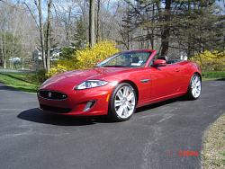 Jaguar , we have landed-dsc00080.jpg