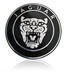 A few pics-jaguar-aluminum-steering-badge.jpg