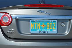 Jaguar Leaper Badges Available-2009-jaguar-xkr-portfolio-edition-leaper-badge-2.jpg