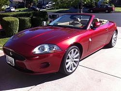 2 week old XK-drivers-front-shot.jpg