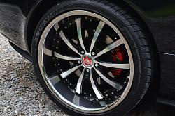 Rear wheel arch protectors-dsc_0045.jpg
