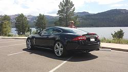 A Big Black Cat was spotted in the wilderness...-20140729_143235.jpg