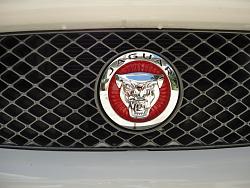 Red growler on grill-dsc02036.jpg