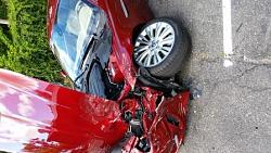 Sad day!  She got killed by a pickup!-20140922_143851resized.jpg