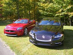 2 cats in the driveway-2-jag.jpg