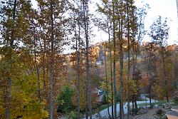 Blue Ridge Parkway last week.-014-1280x853-.jpg