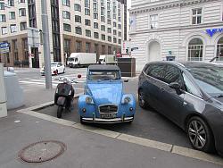 Jags in Prague-image.jpg