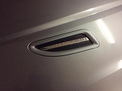 Jaguar XKR Mesh Hood Louvers, Yes or No-image.jpg