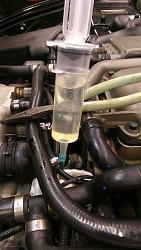 Supercharger oil change - Where to buy the syringe/tubing locally?-newoil.jpg