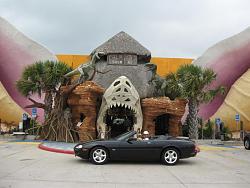 On the Road Again-tex-470-.jpg