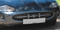 E Type grill-image.jpg