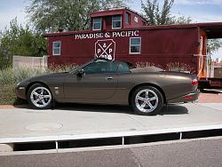 How To Make Your Lady/Wife Happy in a Jag Convertible !!!-dscn2970.jpg