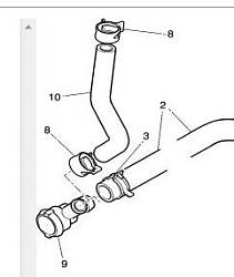 Is This the Octopus Hose?-capture.jpg
