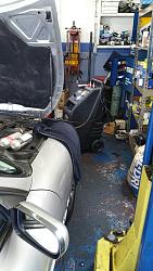 TerraClean in the U.S?-1437681957838.jpg