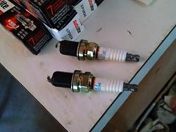 Spark Plug Blow-by?-kitty-plugs.jpg