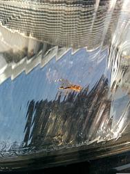 Not a biggy per se, but...-img_20150830_103508.jpg