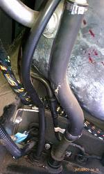 XKR 4.0 Evap Issues P0445-hose.jpg