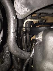 Power Steering hose leak-image.jpeg