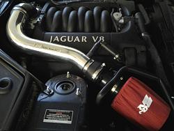 What did I work on today...-jag-shock-spring-top-bush.jpg